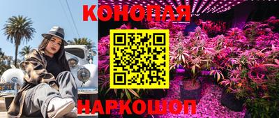 ПСИЛОЦИБИНОВЫЕ ГРИБЫ Новодвинск